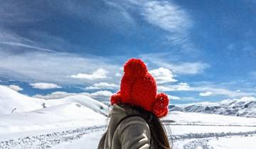 Circuito Invierno en Georgia, Gudauri y Bakuriani