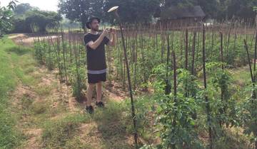 14 Day Sri Lanka Itinerary, incl. Colombo and Kandy