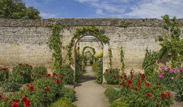 8 Days in Northern France, incl. Paris and Normandy