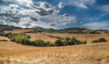 Tuscany Absolute