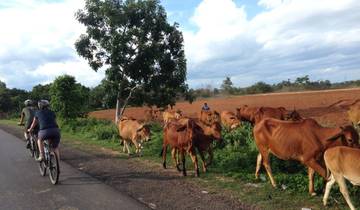 Central Highlands Bike Tour 3 Days/3 Nights