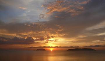 Wild Sarawak