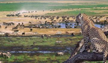 Circuito De la playa a la sabana: 4 días de escapada en grupo a un safari económico con los Cinco Grandes