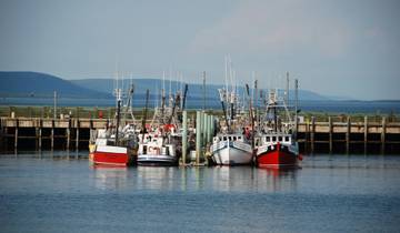 Wonderen van de Bay of Fundy
