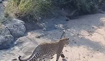 5 Day | Kruger National Park & Panorama Route Tour