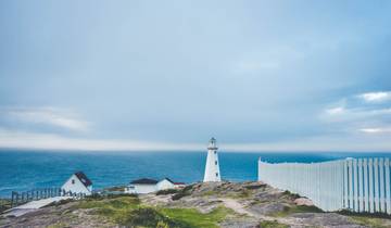 Newfoundland & Labrador's Viking Trail from Corner Brook