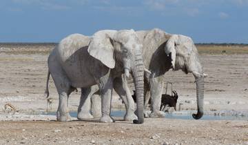 3 Days Etosha National Park | Private Guided Camping