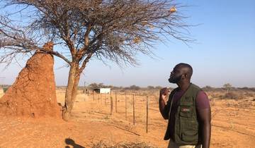 10 Days in Namibia, incl. Etosha and Sossusvlei