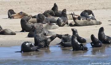 10 Days in Namibia, incl. Etosha and Sossusvlei