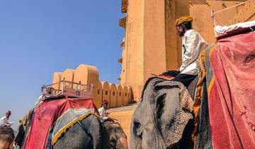 De woestijn van India - 8 dagen-rondreis