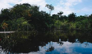 Aventure dans la jungle amazonienne de Manaus 5J/4N