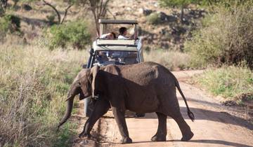 Safari en grupo de 4 días en Tanzania con Serengeti