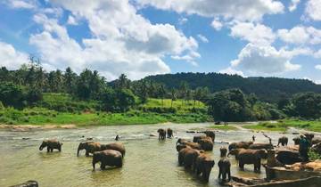 7 Day Sri Lanka Itinerary, incl. Kandy and Galle