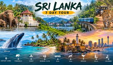 7-Day Sri Lanka Highlights: Kandy, Ella, Yala, Mirissa & Galle