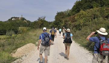 Walking adventure through green Istria - Long tour
