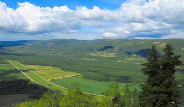 Walking adventure through green Istria - Long tour