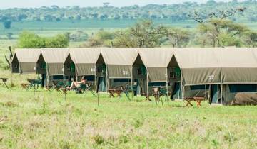 10-Day Private Budget Safari and Zanzibar Holiday