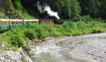 Patrimoine nordique classique : circuit de six jours dans le Maramures et la Bucovine au départ de Cluj-Napoca circuit