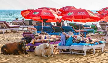 14 jours de vacances en famille en Inde, avec départ quotidien.