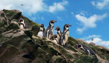 7 Day Peru Itinerary, incl. Lima and Cusco