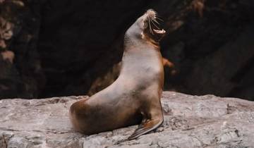 7 Day Peru Itinerary, incl. Lima and Cusco