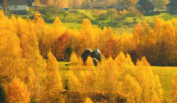 Transylvanian Village Life in the Carpathian Mountains: An Eco-Certified Experience