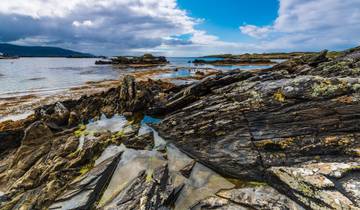 Causeway & Castles Tour