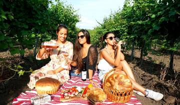 Moldavië Wijnervaring