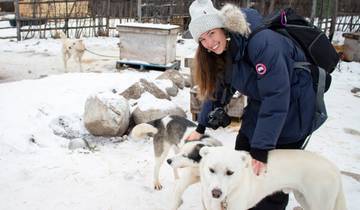 Classic Churchill Polar Bear Adventure
