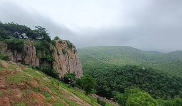 Excursión a la Vida Salvaje y Tribal de Jambughoda desde Vadodara
