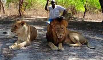 Gambian Experience 10 Days/09 Nights