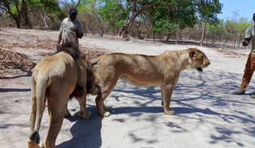Gambian Experience 10 Days/09 Nights