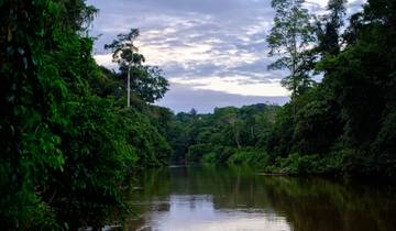 Tena Amazon Eco- Lodge Adventure 4J/3N circuit