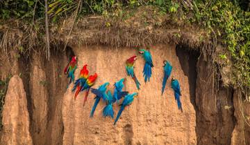 Perú: Escapada corta a la selva amazónica (1 destino, 1 destination)