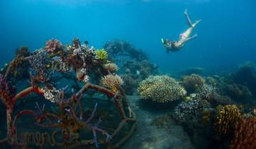 28 Days in South East Asia, incl. Bangkok and Bali
