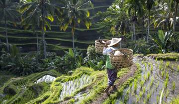28 Days in South East Asia, incl. Bangkok and Bali