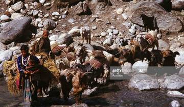 Limi Humla Valley Trek 20 Days 19 Night