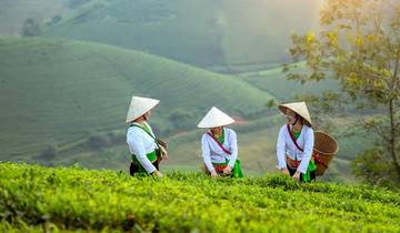 Découvrez le majestueux circuit du Vietnam et du Cambodge en 18 jours circuit
