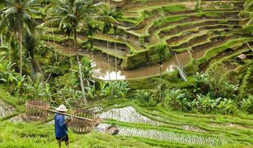 Circuito Bali Insider, visita privada