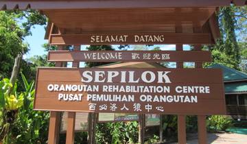 IN-DEPTH BORNEO & MALAYSIA TOUR