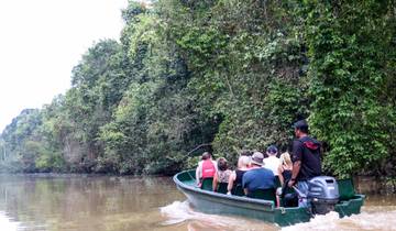 IN-DEPTH BORNEO & MALAYSIA TOUR