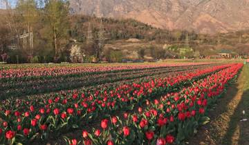 La charmante Srinagar : une retraite de trois jours dans la ville-jardin