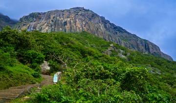 Expedición de vida salvaje de Rajkot al Parque Nacional de Gir