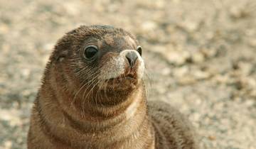 Tastes of Southern Australia (2027/2028)