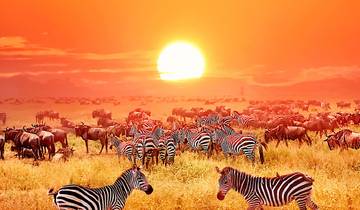 11-Days Tanzania Safari Tour to Ngorongoro, Tarangire, Serengeti & Zanzibar Tour