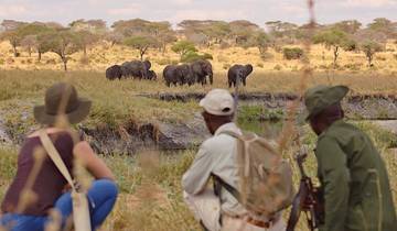 8 jours de safari dans le Tarangire, le Ngorongoro et le Serengeti.