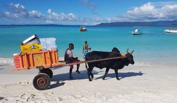 20 Day Madagascar Itinerary, incl. Antananarivo and Isalo National Park
