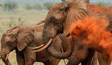 12-Days Ngorongoro Crater, Serengeti & Zanzibar safari tour from Arusha Tour