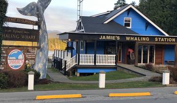 Vancouver to Nanaimo, Ucluelet, Tofino 3 Days Harbour City Tour Private