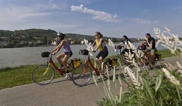Danube Cycle Path from Linz to Vienna for Families Tour